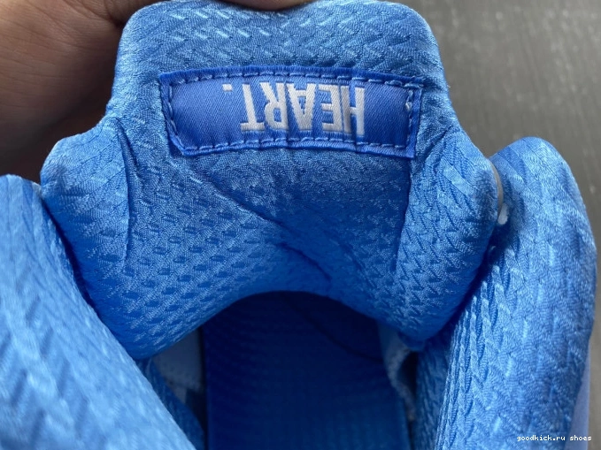 UNC Air 5 DV1310-401 Jordan 0818